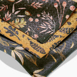 Geometry Autumn Harvest Dishcloth Set