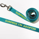 Surprise I'm Adopted - Dog Leash