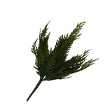 13" Cedar Spray