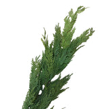 6' Cedar Garland