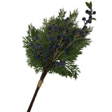 Cedar Blue Berry Bundle