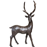 Brown Deer - 2 Styles