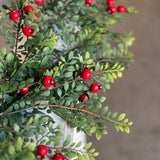 Lancaster + Vintage 5' Lively Berry Bough Garland
