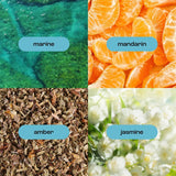 Sea Salt Citrus Mini Hand Cream