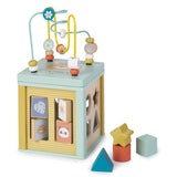 Multi-Activity Cube Toy