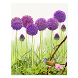 Purple Allium - Flower Garden Greeting Cards