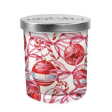 Michel Design Works Peppermint Decorative Glass Candle