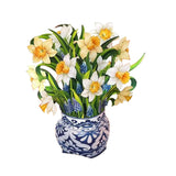 Mini English Daffodil Pop-Up Bouquet & Card