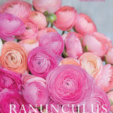 Ranunculus: Beautiful Varieties for the Home and Garden