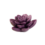 Nora Fleming Get Growing Mini
